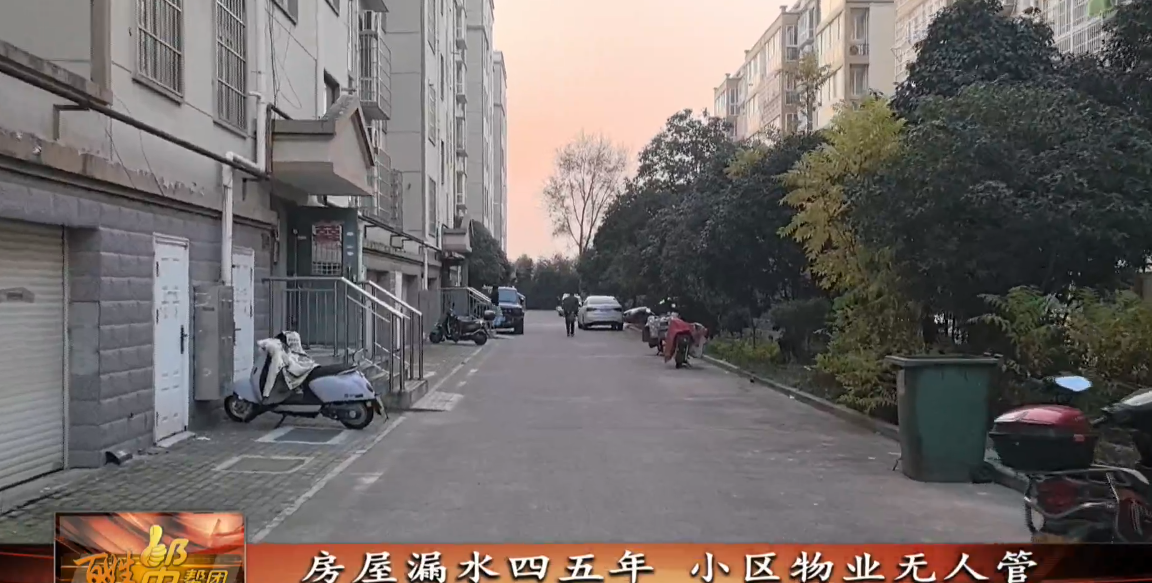 [視頻]百姓幫幫團（2024年12月20日）